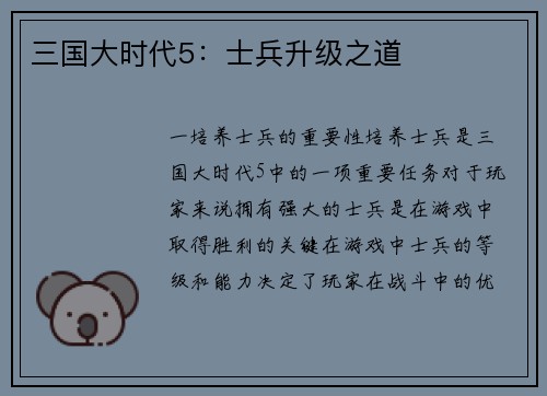 三国大时代5：士兵升级之道